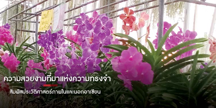 ความสวยงามที่มาแห่งความทรงจำ